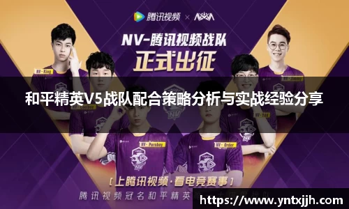 和平精英V5战队配合策略分析与实战经验分享