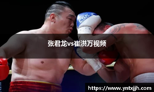 张君龙vs崔洪万视频