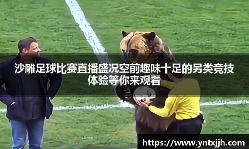 沙雕足球比赛直播盛况空前趣味十足的另类竞技体验等你来观看